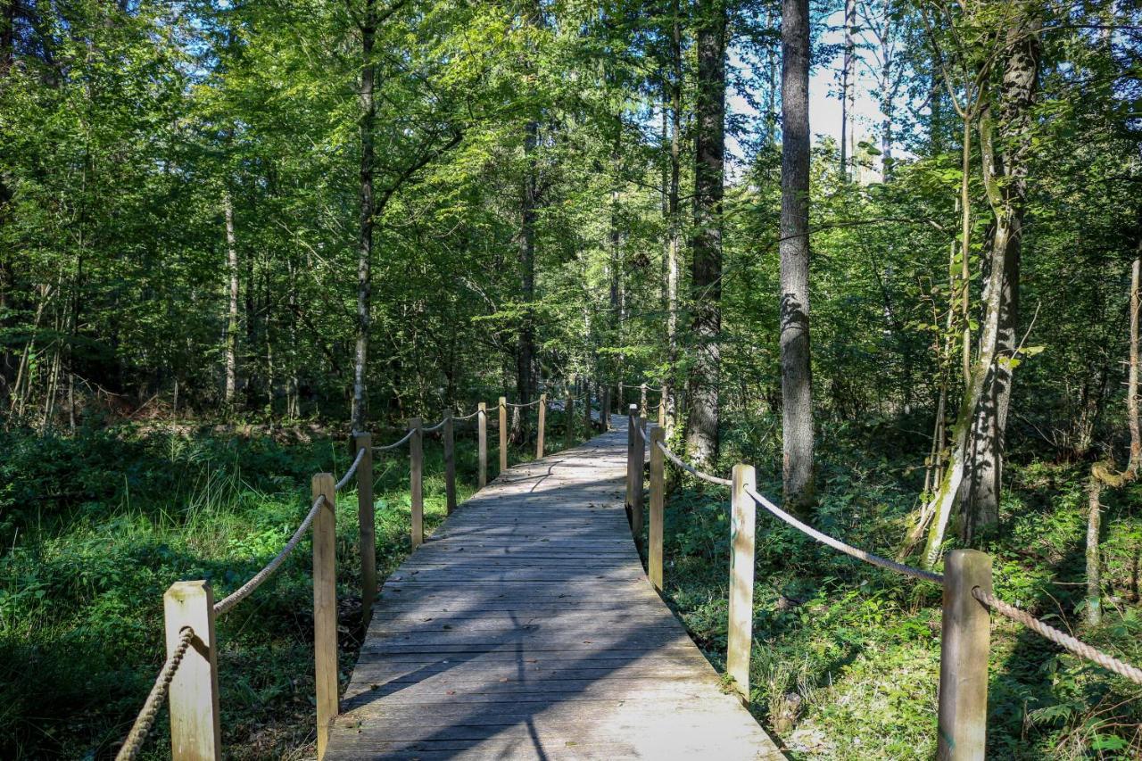 Lesna 21 Dom Poludnie Przy Puszcza Bialowieska Luka Eksteriør bilde
