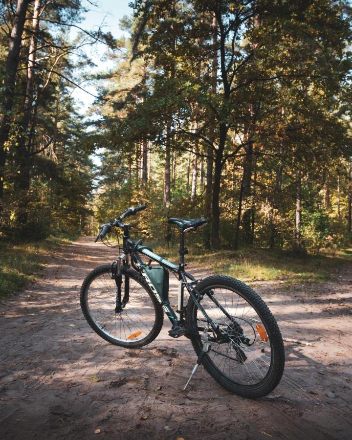 Lesna 21 Dom Poludnie Przy Puszcza Bialowieska Luka Eksteriør bilde