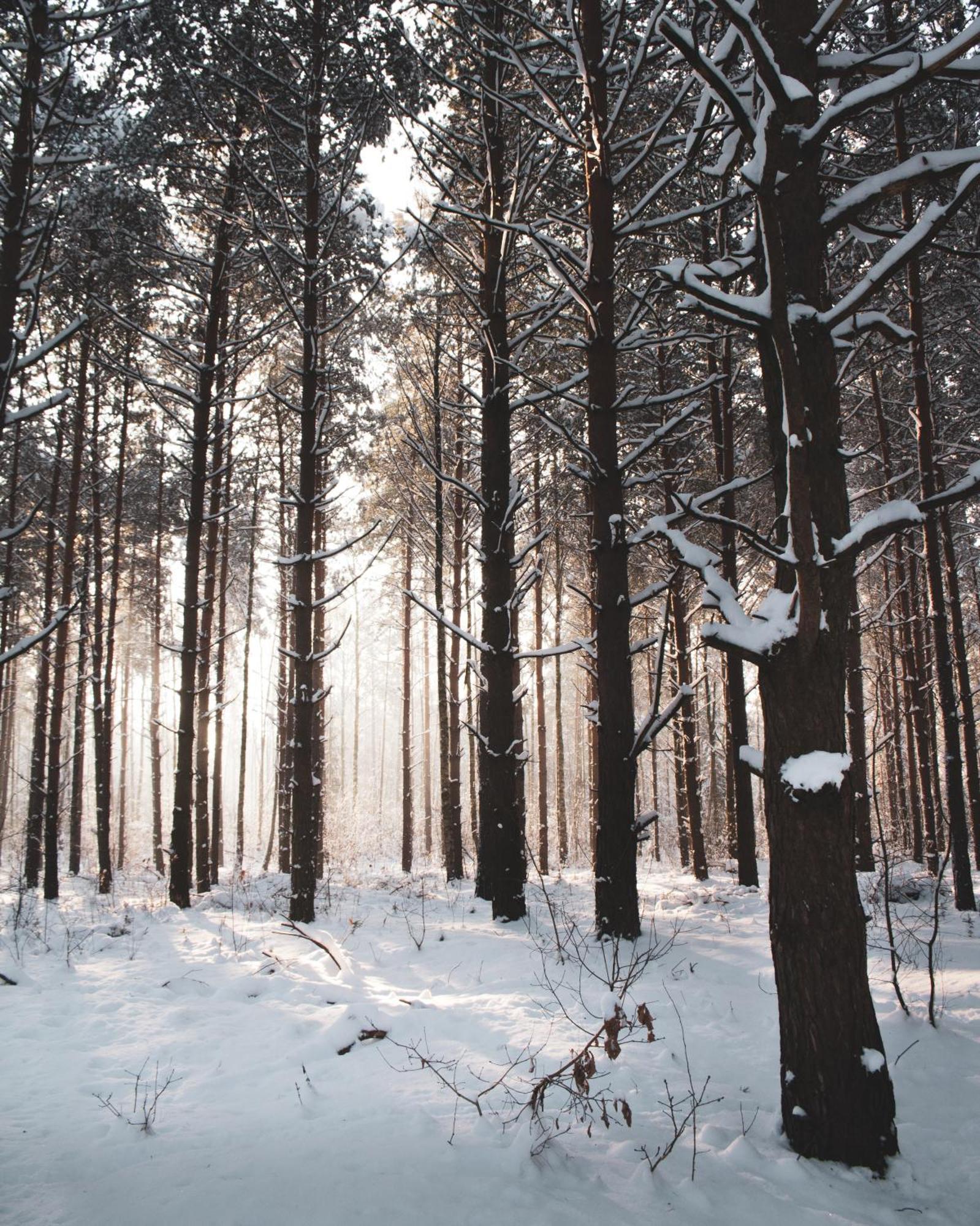 Lesna 21 Dom Poludnie Przy Puszcza Bialowieska Luka Eksteriør bilde